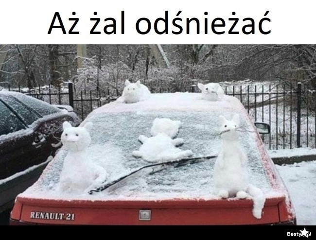 
    Żal odśnieżać 