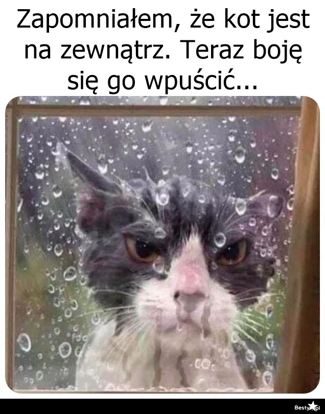 
    A chcesz pazurem?! 