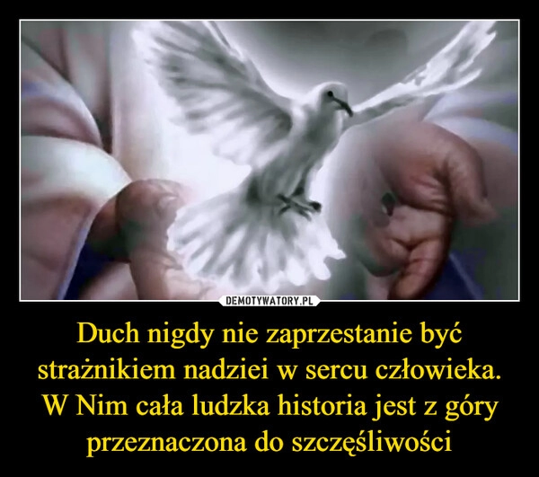 
    Duch nigdy nie zaprzestanie być strażnikiem nadziei w sercu człowieka. W Nim cała ludzka historia jest z góry przeznaczona do szczęśliwości