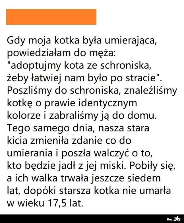 
    Nowy domownik 