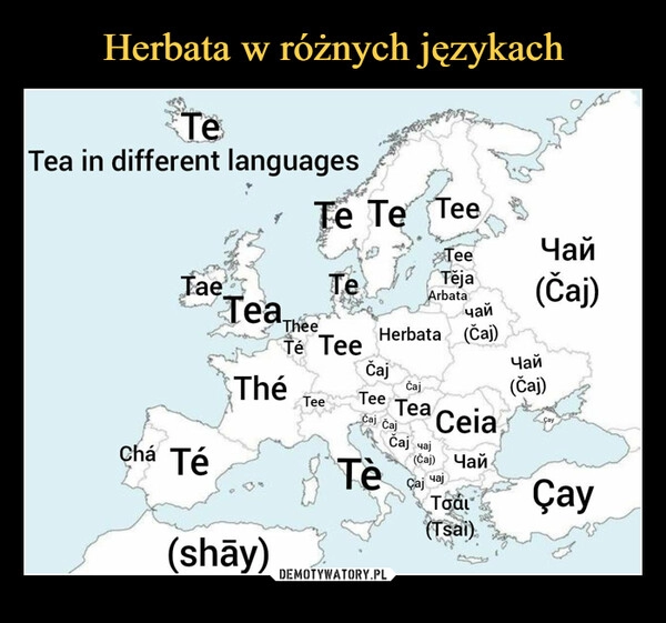 
    Herbata w różnych językach