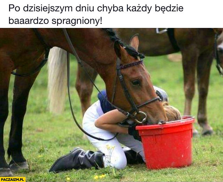 Po dzisiejszym dniu każdy będzie bardzo spragniony kobieta pije wodę z wiadra