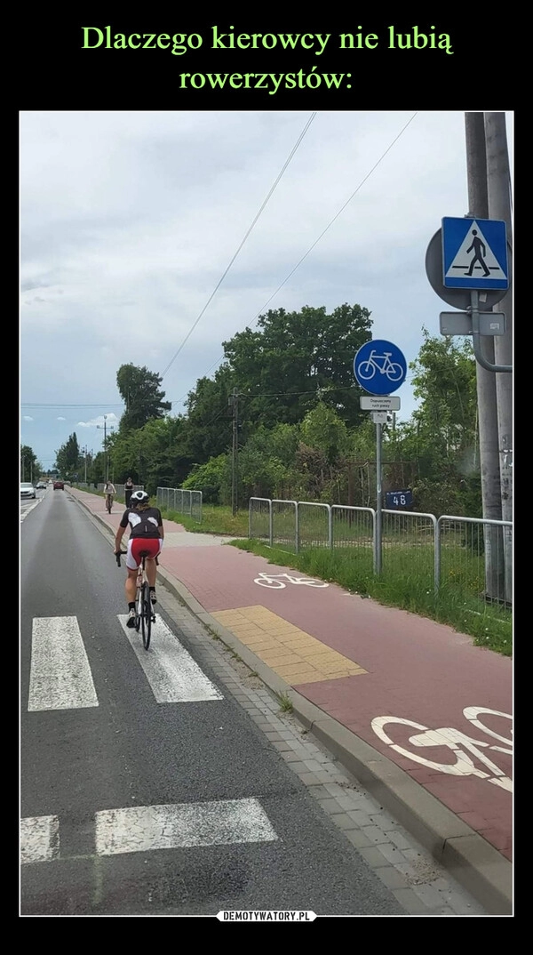 
    Dlaczego kierowcy nie lubią rowerzystów: