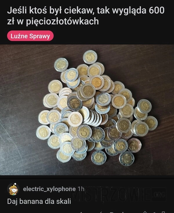 
    600 zł