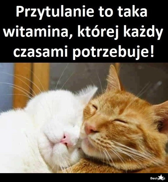 
    Przytulanie 