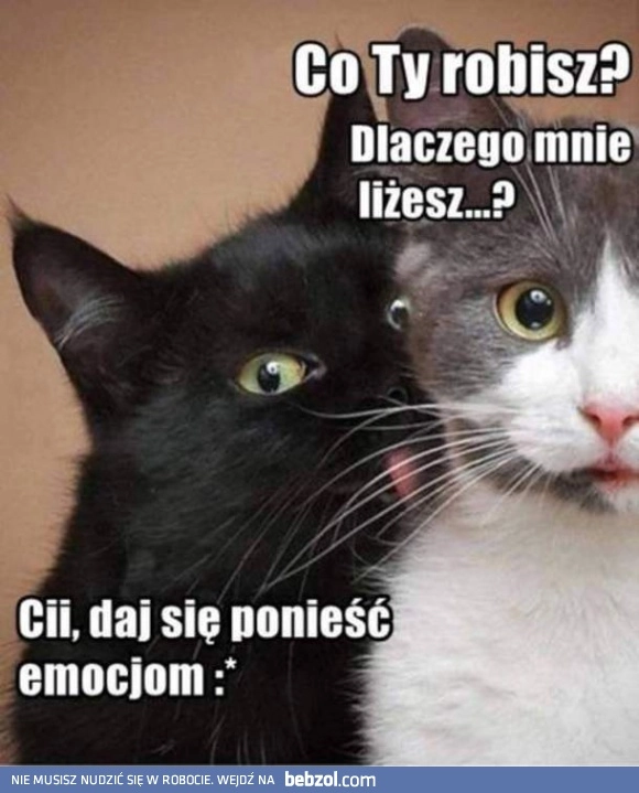 
    Daj się ponieść!