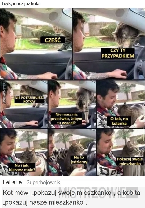 
    I cyk, masz już kota