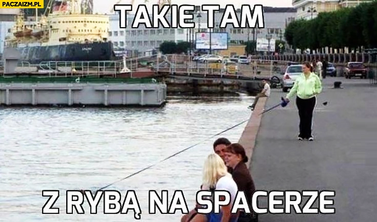 
    Takie tam z rybą na spacerze na smyczy
