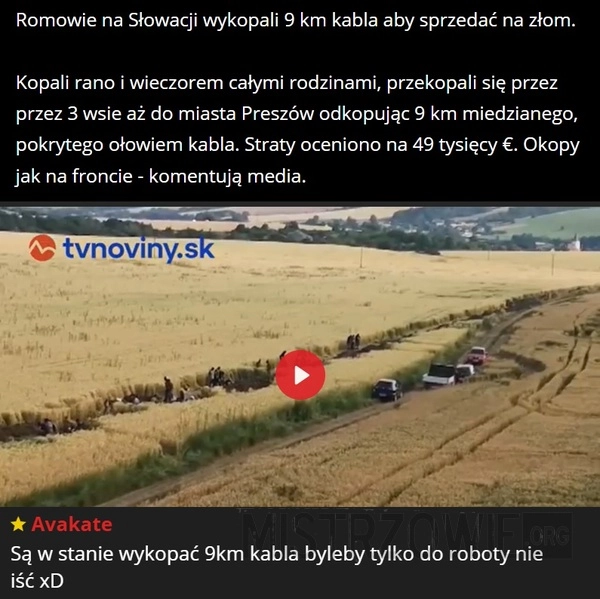 
    Romowie