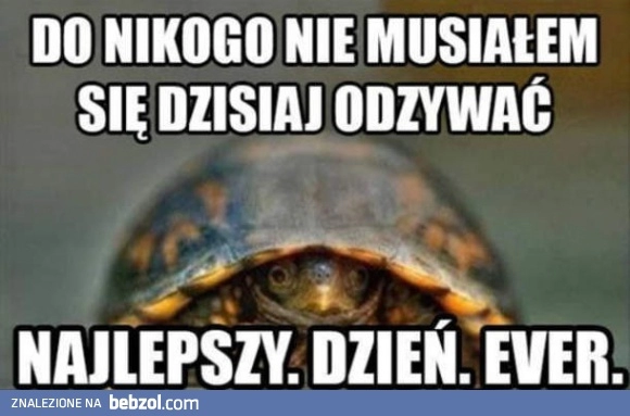 
    To był dobry dzień