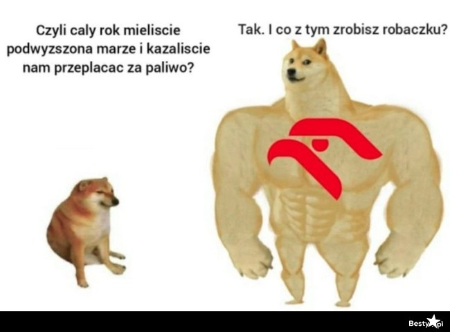 
    I tak się tutaj żyje 