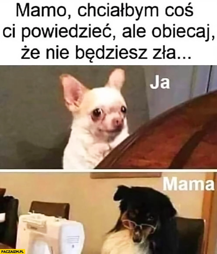 
    Pies mamo chciałbym coś Ci powiedzieć ale obiecaj, że nie będziesz zła mama patrzy