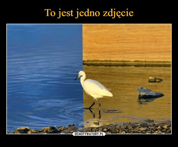 
    To jest jedno zdjęcie