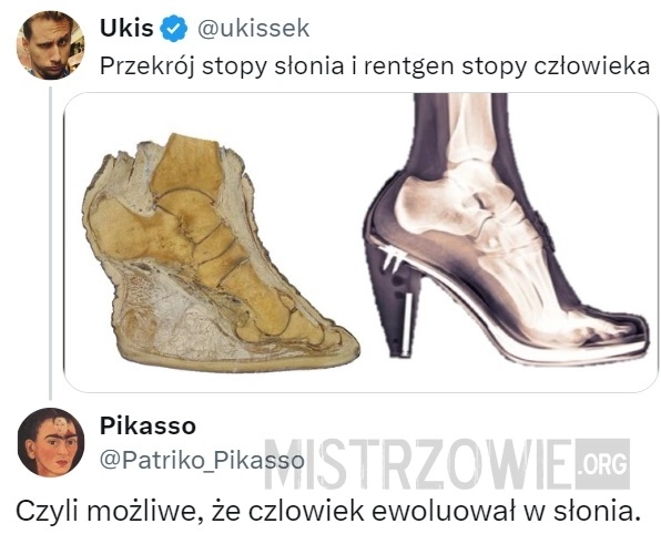 
    Przekrój