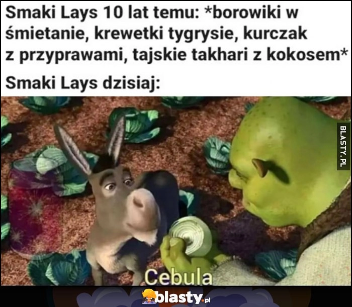 
    Shrek Smaki Lays 10 lat temu: borowiki w śmietanie, krewetki tygrysie, kurczak z przyprawami vs dzisiaj: cebula