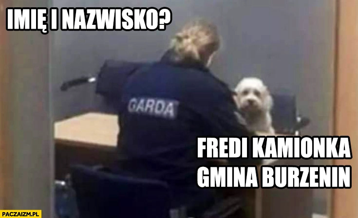 
    Policjantka imię i nazwisko pies piesek Fredi Kamionka Gmina Burzenin przesłuchanie