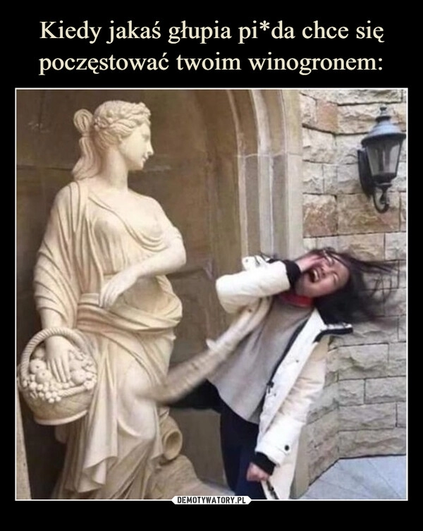 
    Kiedy jakaś głupia pi*da chce się poczęstować twoim winogronem: