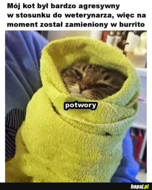 
    Burrito