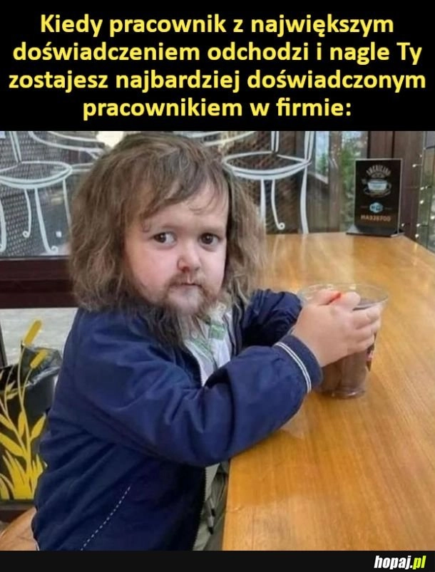 
    Doświadczenie