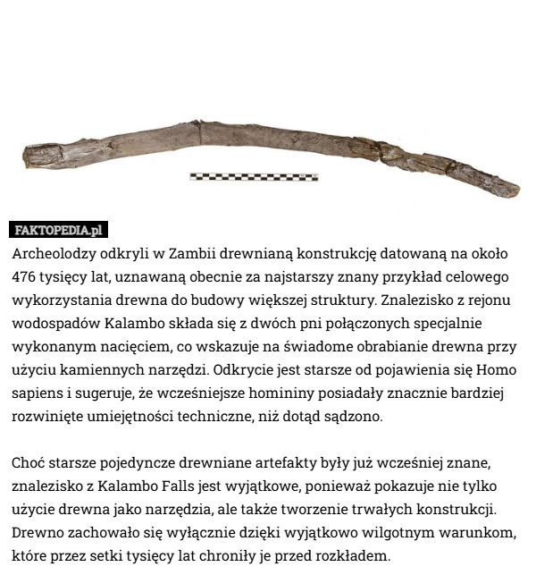 
    Archeolodzy odkryli w Zambii drewnianą konstrukcję datowaną na około 476