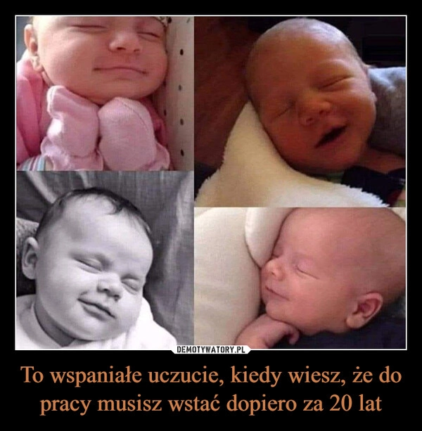 
    To wspaniałe uczucie, kiedy wiesz, że do pracy musisz wstać dopiero za 20 lat