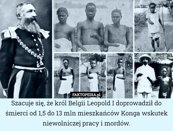 
    Szacuje się, że król Belgii Leopold I doprowadził do śmierci od 1,5 do 13