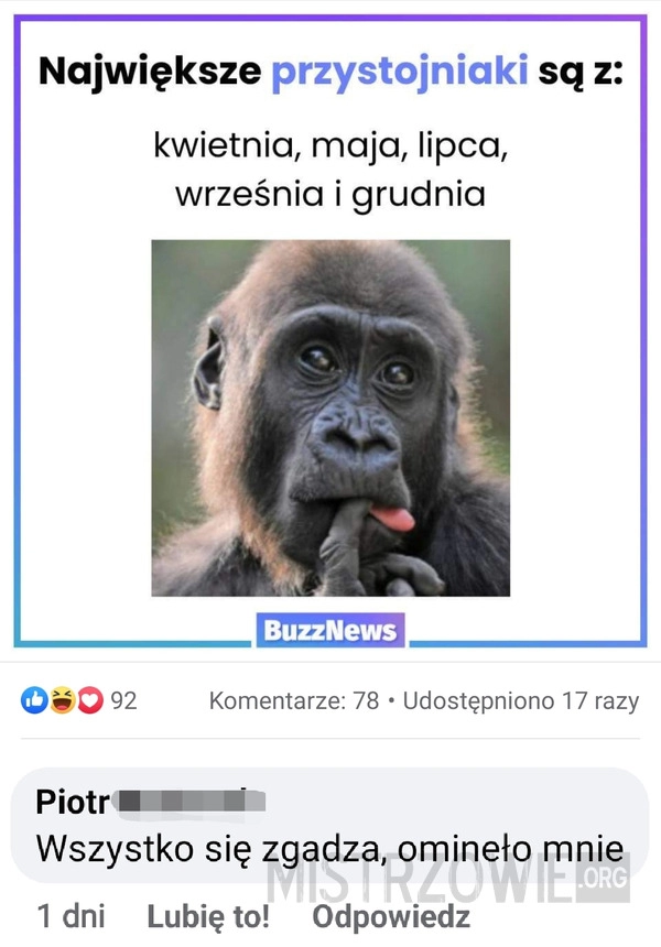 
    Przystojniak