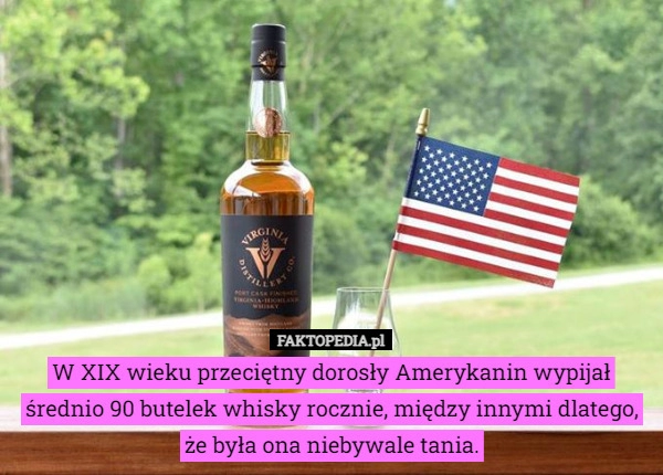 
    W XIX wieku przeciętny dorosły Amerykanin wypijał średnio 90 butelek whisky