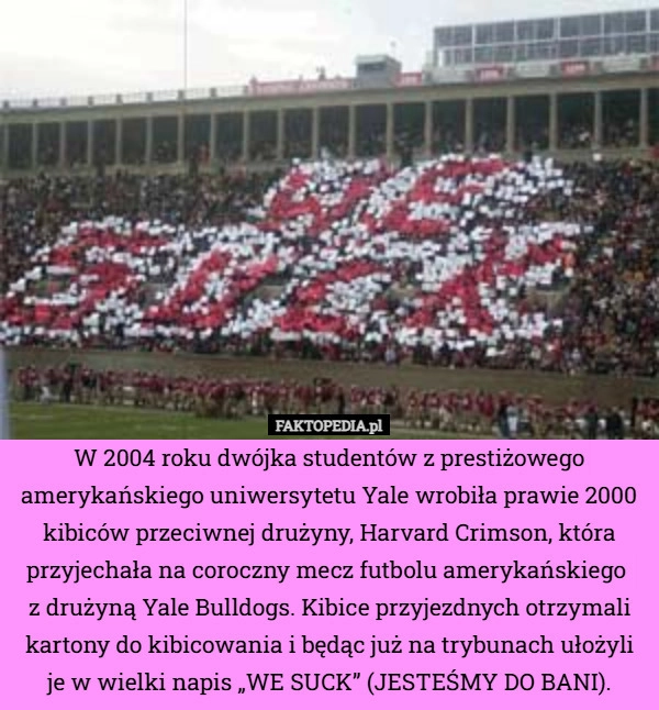 
    W 2004 roku dwójka studentów z prestiżowego amerykańskiego uniwersytetu