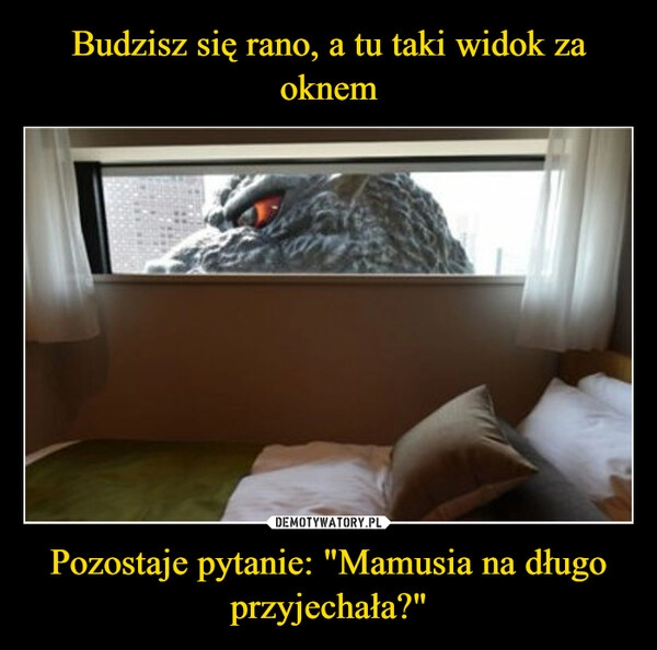 
    Budzisz się rano, a tu taki widok za oknem Pozostaje pytanie: "Mamusia na długo przyjechała?"