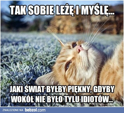 
    Tak sobie myślę