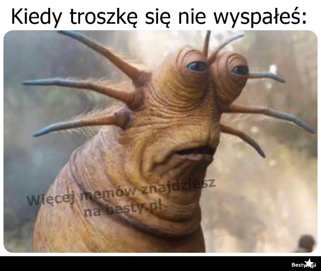 
    Tak troszeczkę 