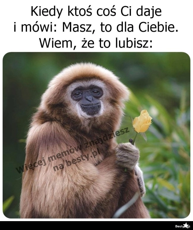 
    Jak miło! 