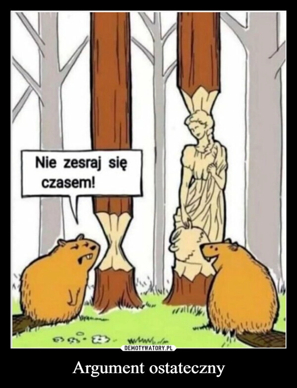 
    Argument ostateczny