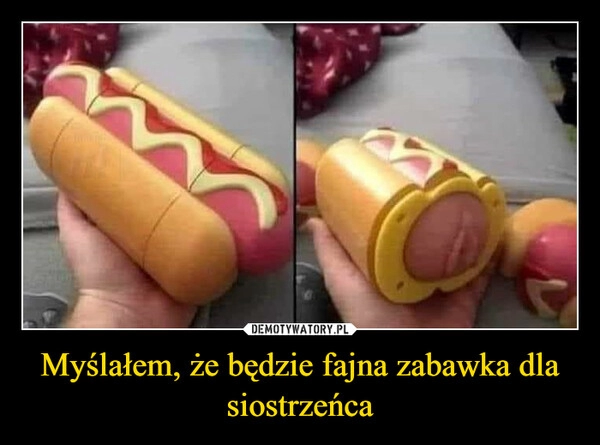 
    Myślałem, że będzie fajna zabawka dla siostrzeńca