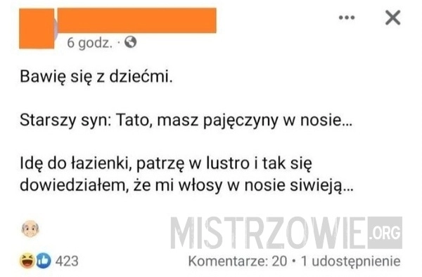 
    Pajęczyny