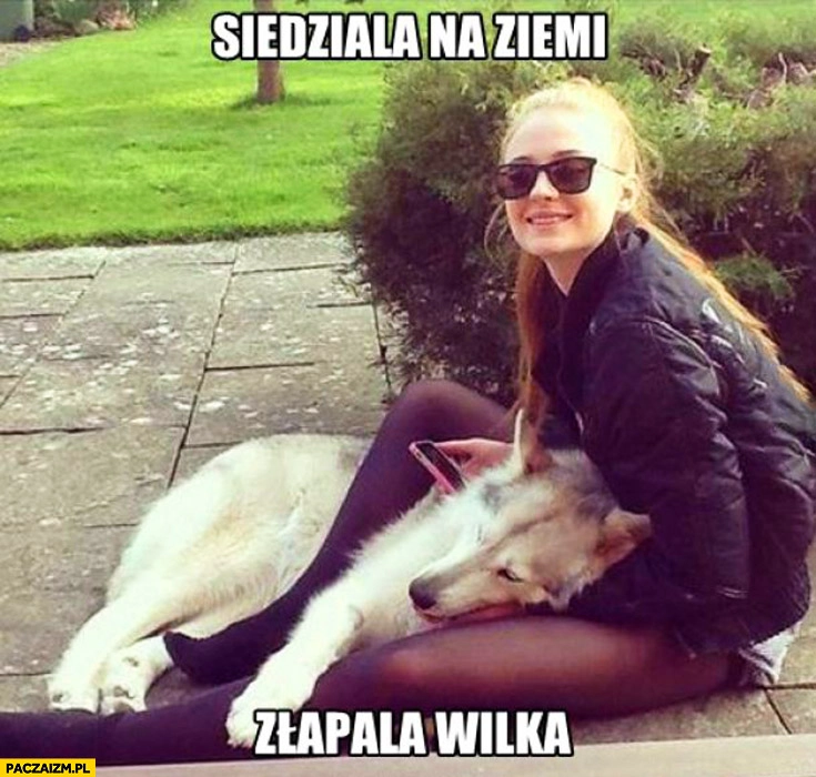 
    Siedziała na ziemi złapała wilka