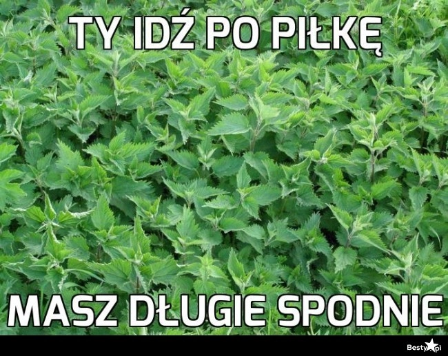 
    Tak było 