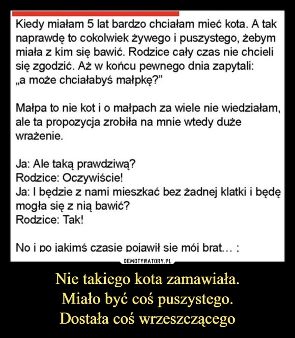 
    Nie takiego kota zamawiała.
Miało być coś puszystego.
Dostała coś wrzeszczącego