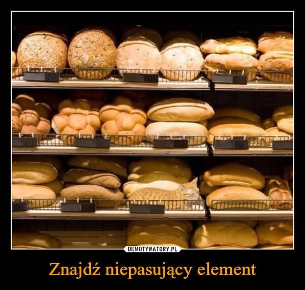 
    Znajdź niepasujący element