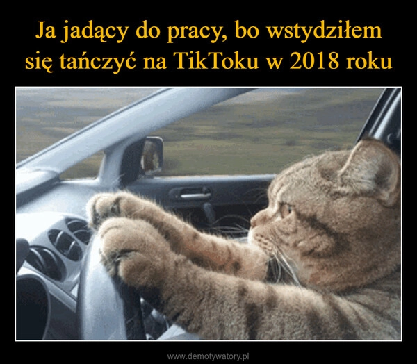 
    Ja jadący do pracy, bo wstydziłem się tańczyć na TikToku w 2018 roku