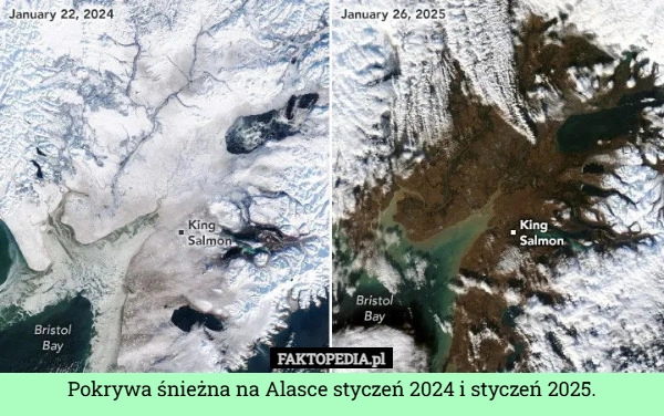 
    Pokrywa śnieżna na Alasce styczeń 2024 i styczeń 2025.