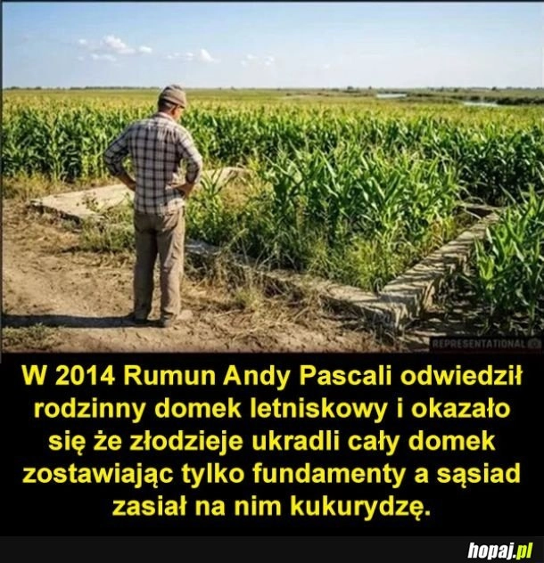 
    Miło