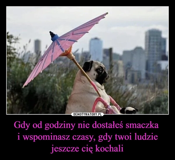 
    Gdy od godziny nie dostałeś smaczka 
i wspominasz czasy, gdy twoi ludzie jeszcze cię kochali