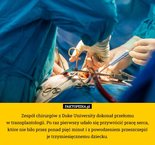 
    Zespół chirurgów z Duke University dokonał przełomu
 w transplantologii.