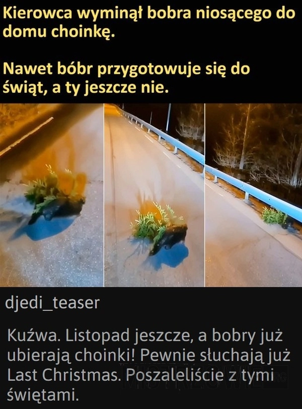 
    Bóbr