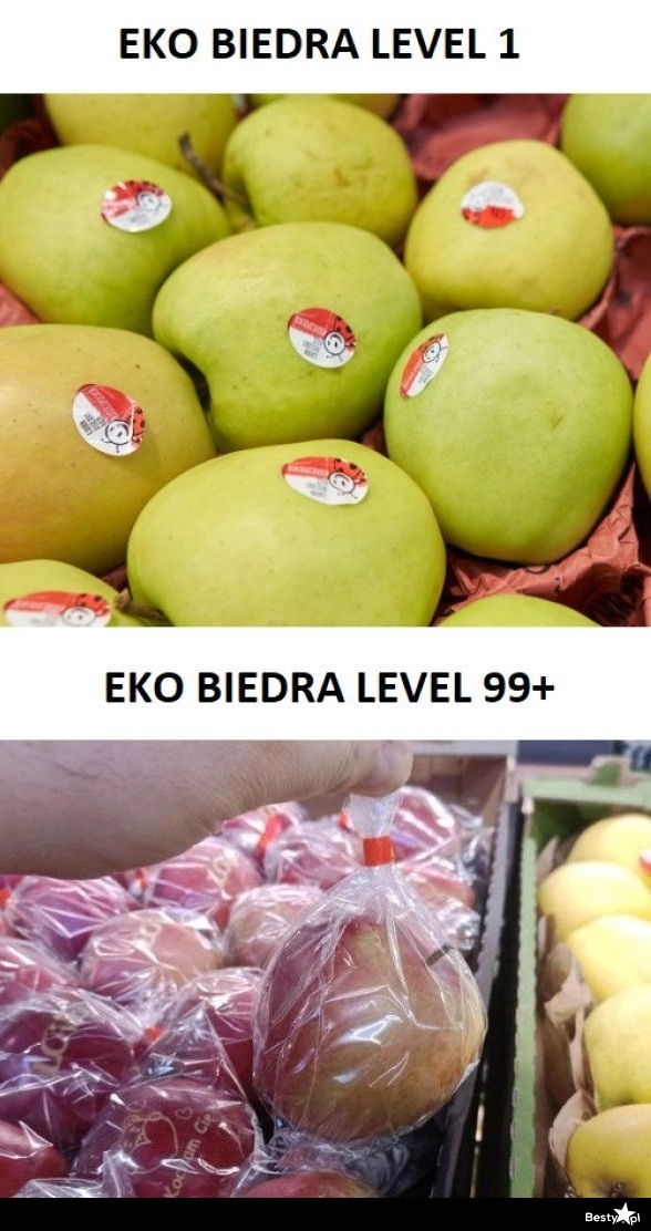 
    Ekologia 