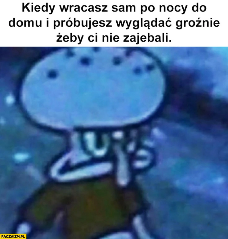 
    Kiedy wracasz sam po nocy do domu i próbujesz wyglądać groźnie żeby ci nie zarąbali Spongebob