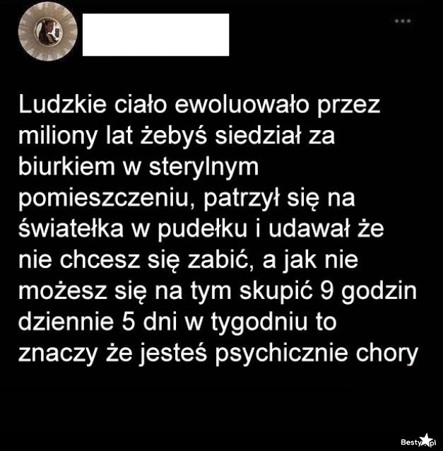 
    Tyle lat ewolucji 