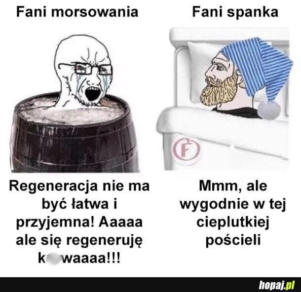 
    Regeneracja